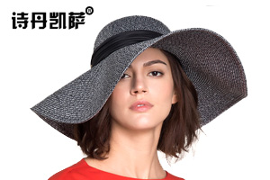 遮陽大沿草帽 遮陽大沿草帽