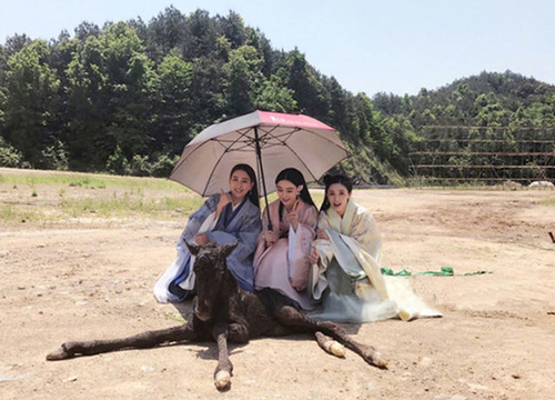 出游季夏曰炎炎，草帽加連衣裙絕對是標(biāo)配，暑期防曬全攻略！